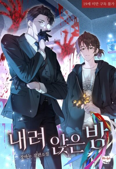 The Fallen Night Cover